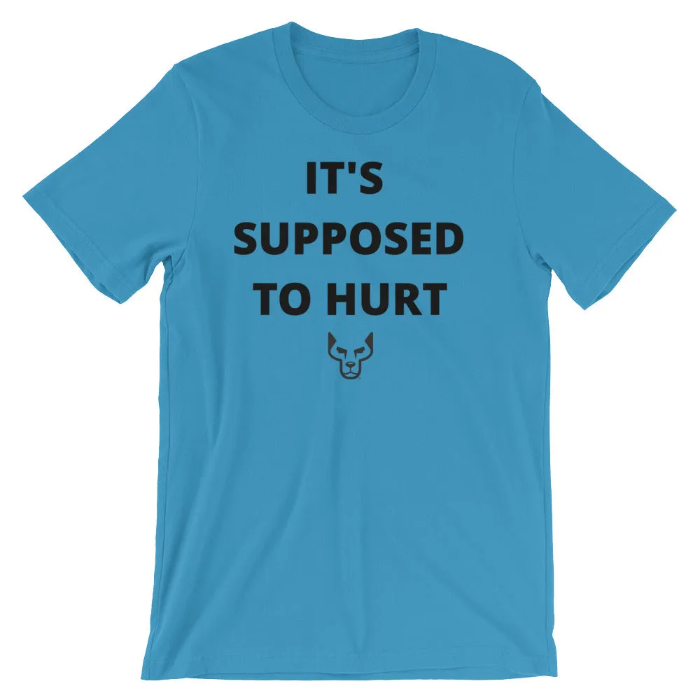 Its Supposed to Hurt